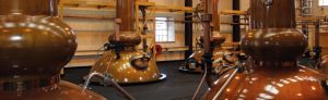 Elite operate in the Bottling and Distillery, providing engineering services throughout the UK