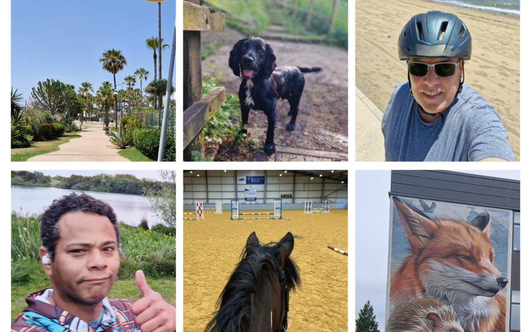 🏅 Elite Fitness Challenge – Halfway Recap: Momentum, Miles & Motivation