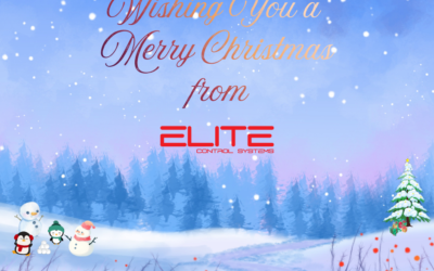 Festive Season Wishes from Elite Controls 2025