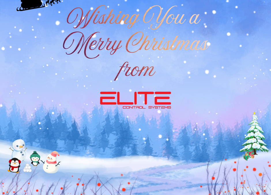 Festive Season Wishes from Elite Controls 2025